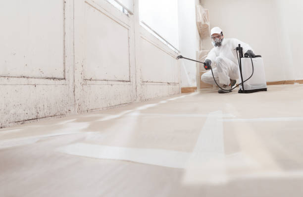 24/7 Emergency Mold Remediation experts in Mechanicsville, VA