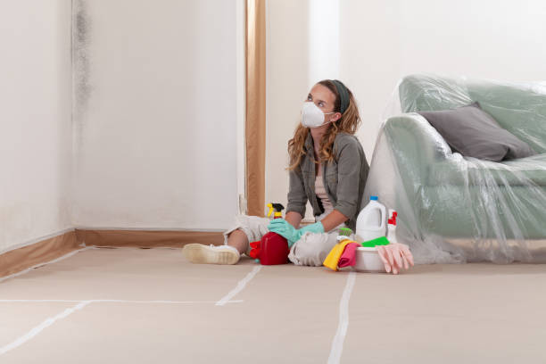 Reliable Mold Remediation contractor in Mechanicsville, VA by 24 Hour Mold Removal