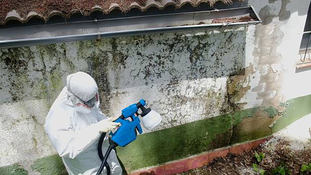 Top rated local Mold Remediation specialists in Mechanicsville, VA